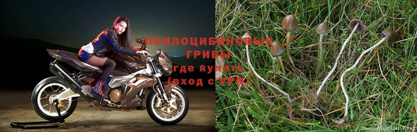 прущая мука Зеленодольск
