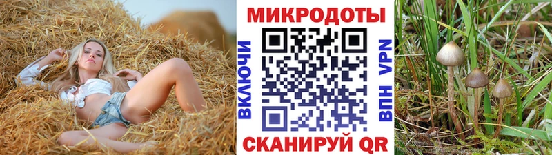 Галлюциногенные грибы Psilocybine cubensis  Купить где  Бирюсинск 